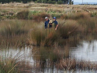 Recently WLG committee members erected three grey teal nest boxes.