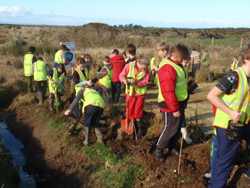 n celebration of Arbor Day/World Environment Day in early June, Gorge Road School pupils helped to plant red tussock around the car park at the Gravel Pit.